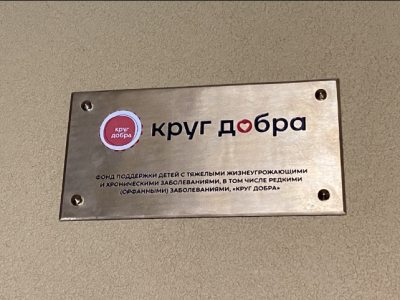 Бюджет и добро: глава ФОМС усиливает контроль за "Кругом добра"