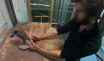 Магия и тайны: экскурсия с шоу в Музее фокусов и иллюзий 0+