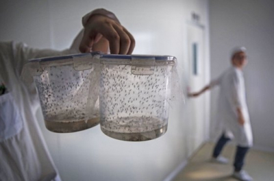 На Кубе зафиксирована вспышка трех лихорадок: советы для туристов по безопасности